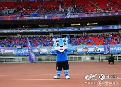 黄石球迷武汉斗殴